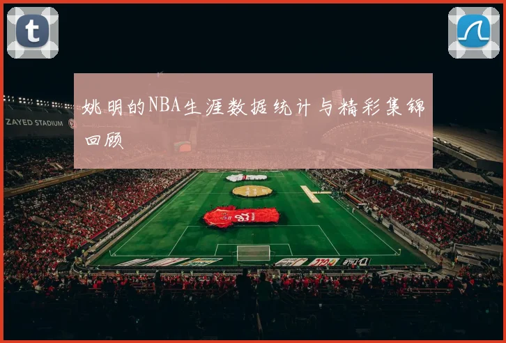姚明的NBA生涯数据统计与精彩集锦回顾